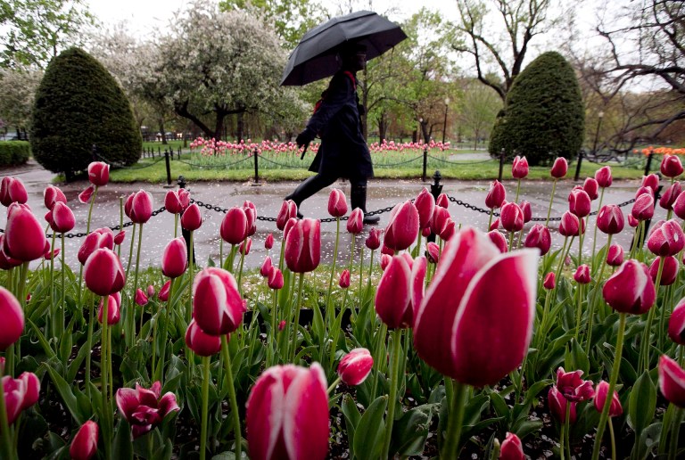 Spring 2026 US Weather: Warmer and Drier Than Normal Forecast